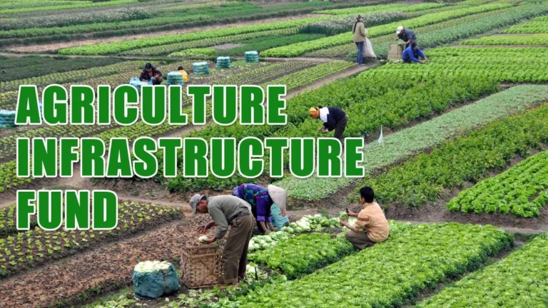 Commercial Agriculture Funding
